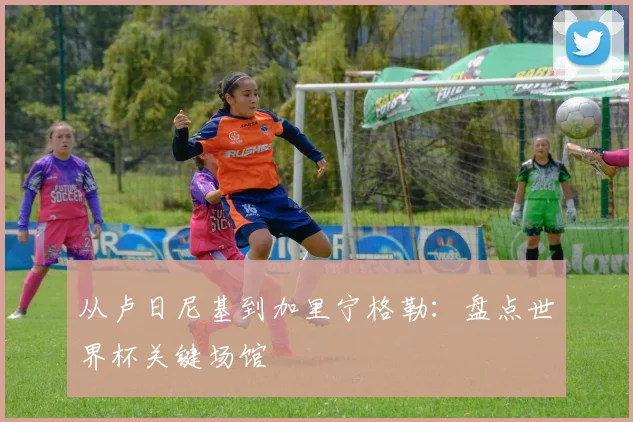 从卢日尼基到加里宁格勒：盘点世界杯关键场馆
